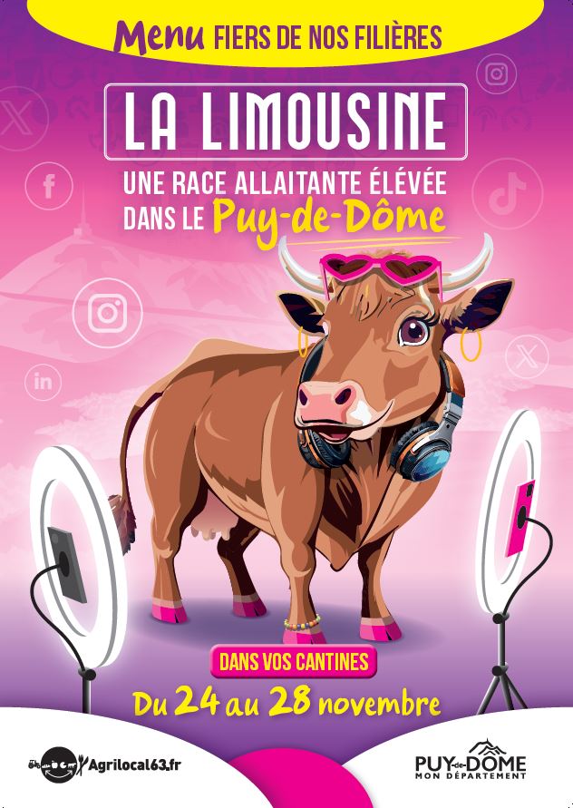 Affiche Limousine.JPG